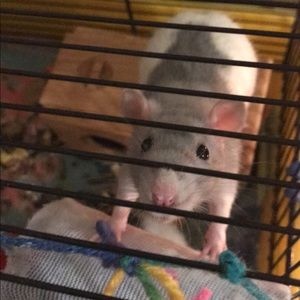 Meet your Posher, Macy